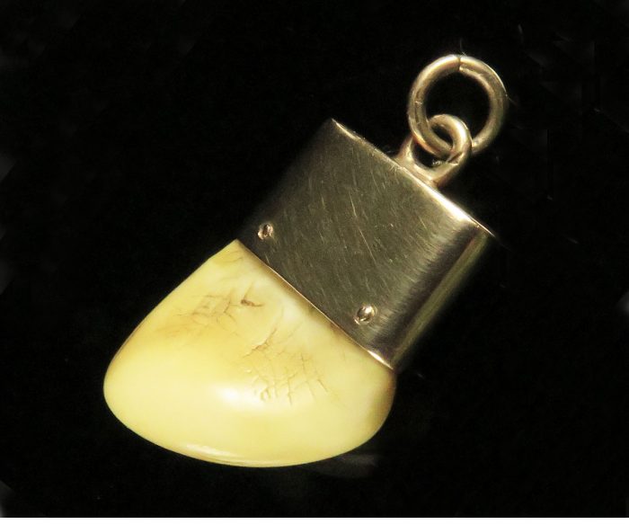 Gold Elk's Tooth Fob