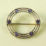 Edwardian Platinum Topped Circle Pin with Sapphires