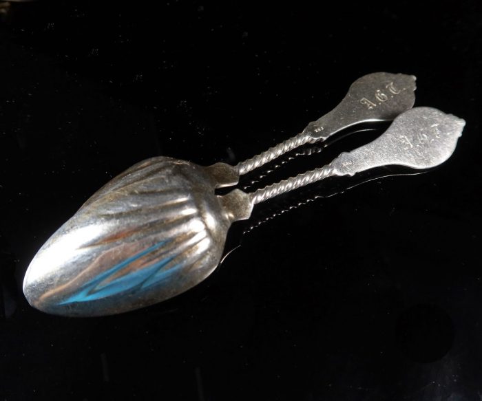 12 American Coin Silver Ice Cream Spoons by Kidney & Johnson