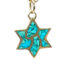 17283FGoldTurquoiseStarofDavidPendant